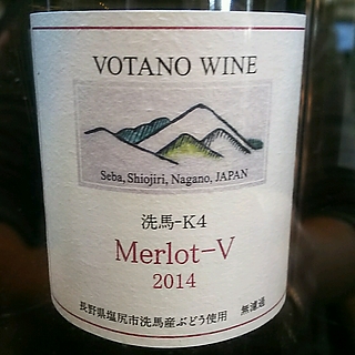 Votano Wine Merlot V