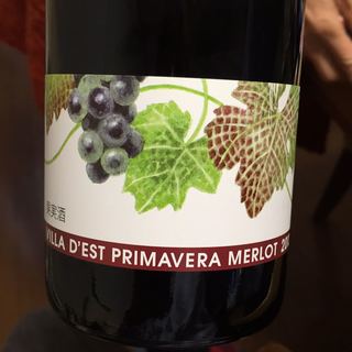 Villa d'Est Primavera Merlot