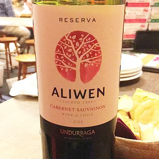 Undurraga Aliwen Reserva Cabernet Sauvignon