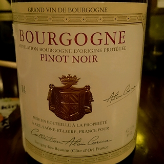 Collection Alain Corcia Bourgogne Pinot Noir