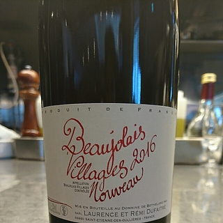 Laurence et Rémi Dufaitre Beaujolais Villages Nouveau