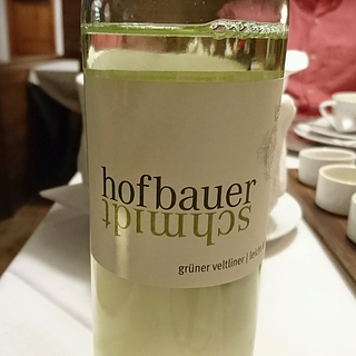 Hofbauer Schmidt Grüner Veltliner Leicht & Fruchtig