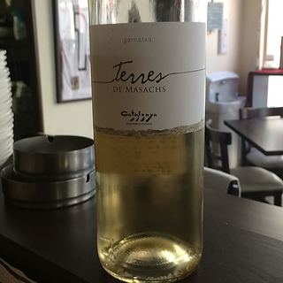 Terres de Masachs Blanc