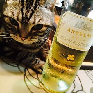 Anselmi Capitel Foscarino