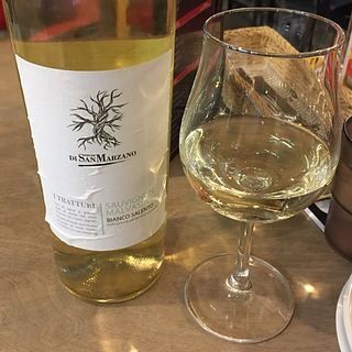 Feudi di San Marzano I Tratturi Sauvignon Malvasia Bianco Salento