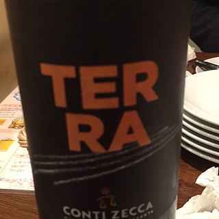 Conti Zecca Terra