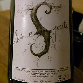 Samuel Boulay Les Esprits
