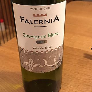 Falernia Sauvignon Blanc