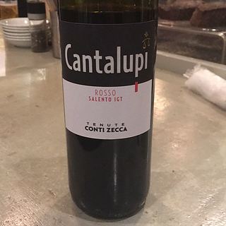 Conti Zecca Cantalupi Rosso