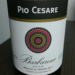 Pio Cesare Il Bricco Barbaresco