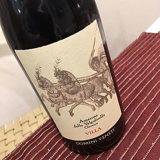 Domini Veneti Amarone della Valpolicella Classico Espressioni Villa