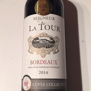 Seigneur de la Tour