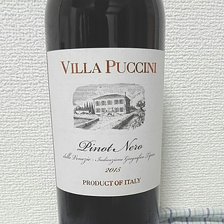 Villa Puccini Pinot Nero