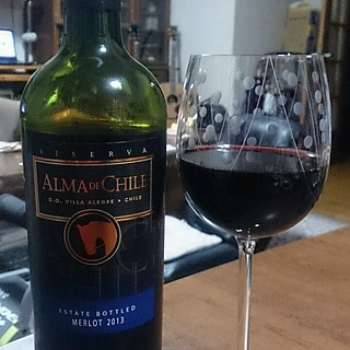 Alma de Chile Reserva Merlot