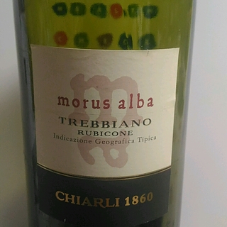 Chiarli 1860 Morus Alba Trebbiano del Rubicone