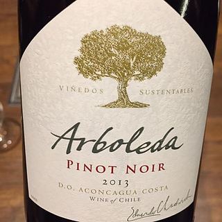 Arboleda Pinot Noir