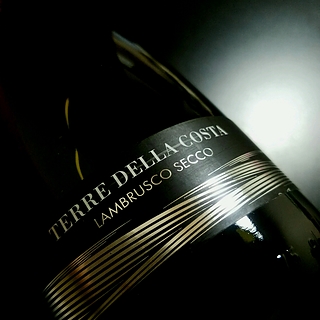 Terre della Costa Lambrusco Secco