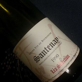 Lou Dumont Léa Sélection Santenay