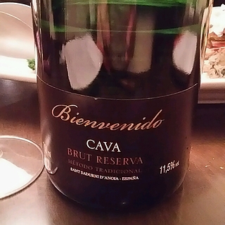 Bienvenido Cava Brut Reserva