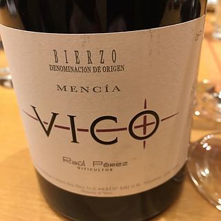 Raul Perez Vico