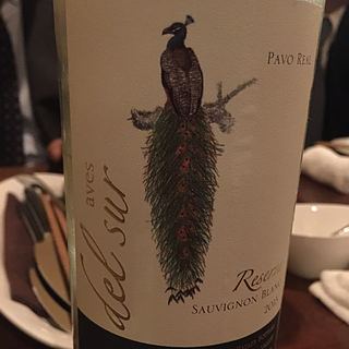 Aves Del Sur Sauvignon Blanc Reserva