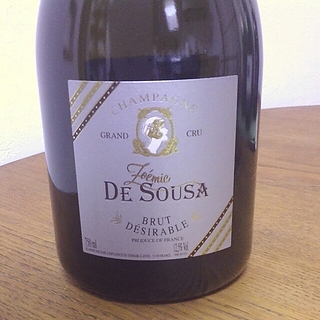 Zoémie De Sousa Brut Désirable