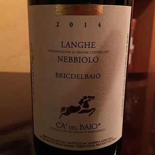 Ca' del Baio Langhe Nebbiolo Bric del Baio