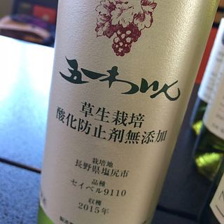 五一わいん 草生栽培 酸化防止剤無添加 塩尻 セイベル9110