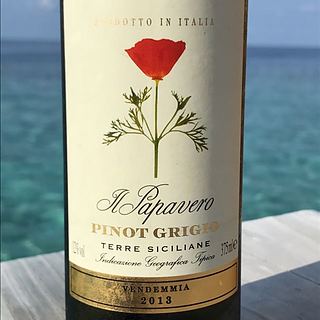Il Papavero Pinot Grigio