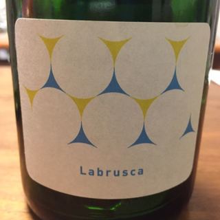 島之内フジマル醸造所 Labrusca