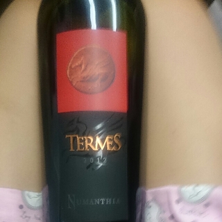 Numanthia Termes(ヌマンシア テルメス)