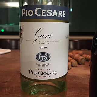 Pio Cesare Gavi