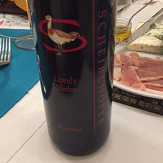 Lovely Merlot