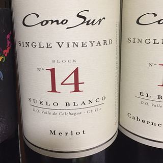 Cono Sur Single Vineyard No.14 Merlot(コノ・スル シングル・ヴィンヤード No.14 メルロ)