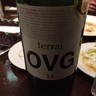 Terrai OVG
