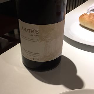 Sébastien Bobinet Amateus Bobi Saumur Champigny