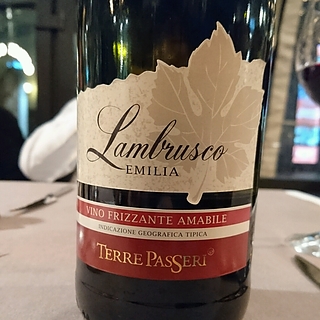 Terre Passeri Lambrusco Emilia Amabile Frizzante