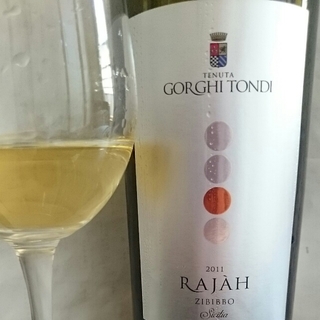 Gorghi Tondi Rajàh(ゴルギ・トンディ ラジャ)
