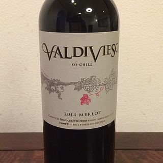 Valdivieso Merlot