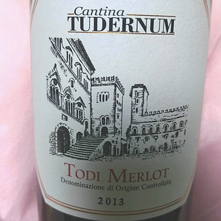 Cantina Tudernum Todi Merlot