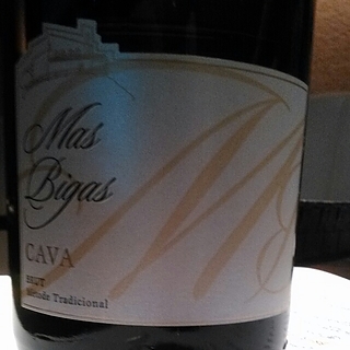 Mas Bigas Cava Brut