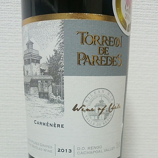 Torreon de Paredes Carménère