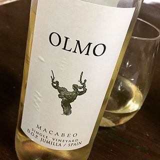 Olmo Macabeo
