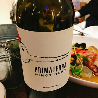 Primaterra Pino Nero(プリマテッラ ピノ・ネロ)