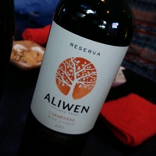Undurraga Aliwen Reserva Carmenere