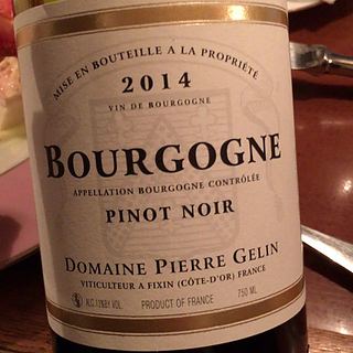 Dom. Pierre Gelin Bourgogne Pinot Noir