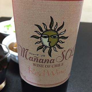 Mañana Sol Red Wine