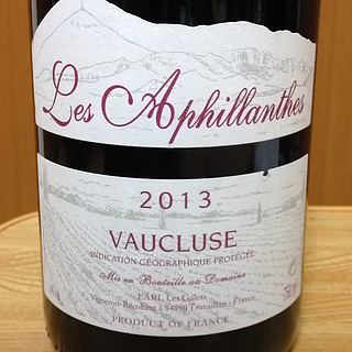 Les Aphillanthes Vaucluse Rouge