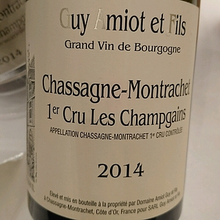 Dom. Amiot Guy et Fils Chassagne Montrachet 1er Cru Les Champgains