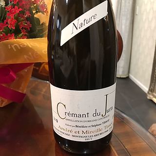 Dom. André et Mireille Tissot Crémant du Jura Brut Nature